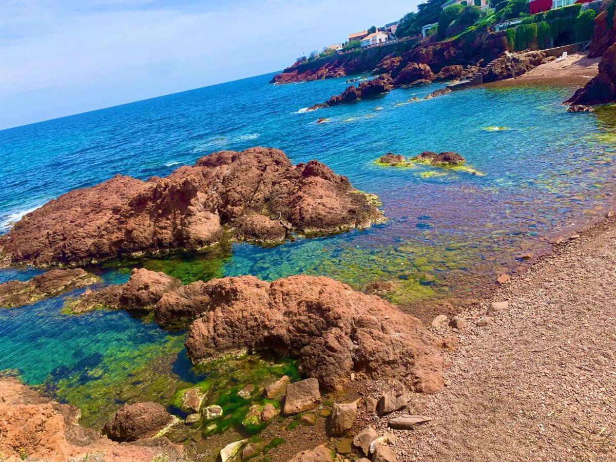 La Belle Vue-Charming Duplex Apartment With Sea View, 50 Meters From Beach And Private Parking Saint-Raphaël Buitenkant foto